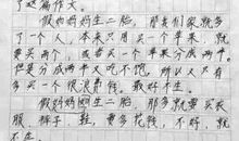 描写妈妈的作文