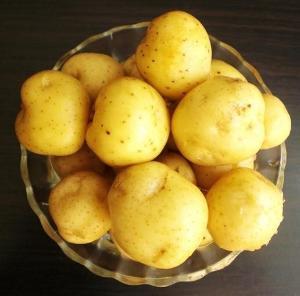 土豆不是土