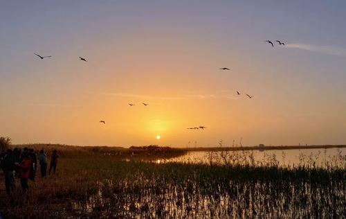 没有更多的遗憾