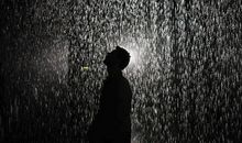 我想，我应该是那雨