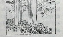 我们班的聪明人