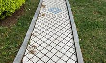 家乡小路的变化