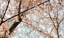 给春风取一个好名字