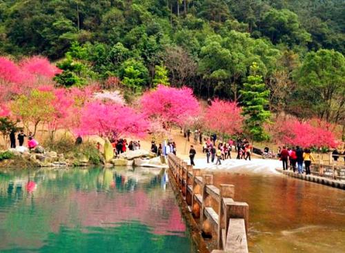 生态公园是一道亮丽的风景