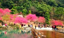 生态公园是一道美丽的风景线