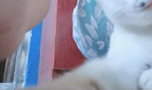 太阳公公，您歇会儿吧！