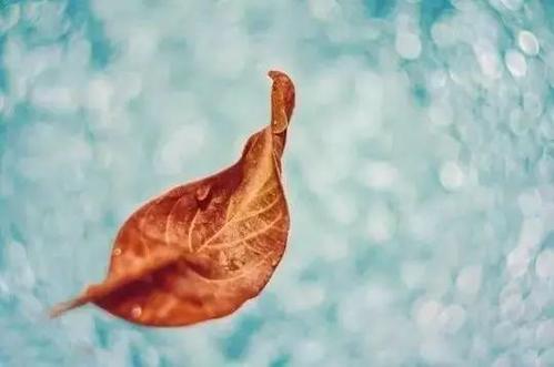 雨使我陶醉