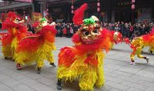 龙腾狮跃闹元宵