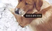 第一次看见雪