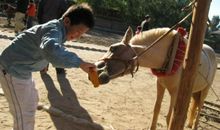 一次快乐的体验