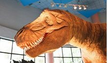 我发现了自然科学