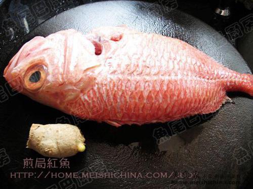 聪明的红鱼