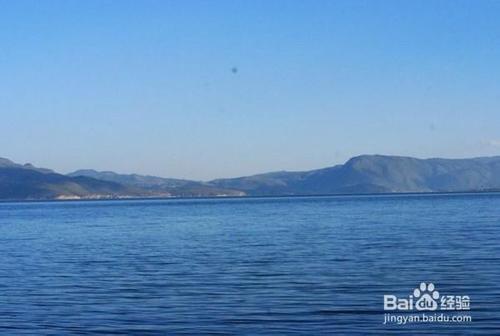 如果我是世间万物