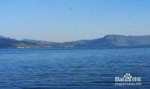 假如我是世间万物