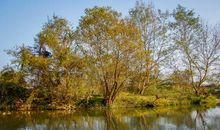 回味有你的风景