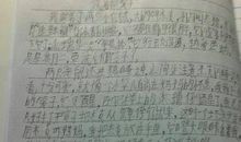 有点意思作文