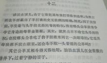 《疯羊“血顶儿”》读后感