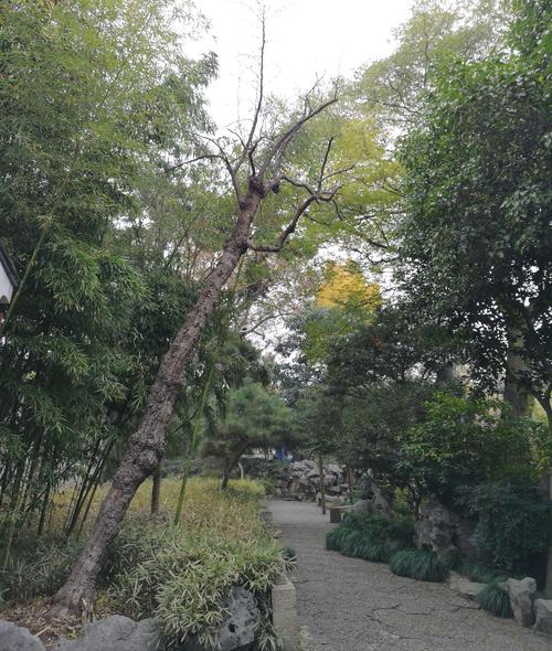 这次我感到高兴