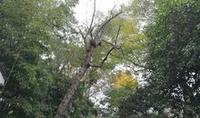 这一次我心怡然