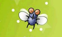 假如我是一只苍蝇