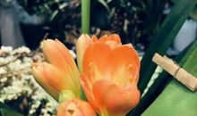 有一种精神叫坚持