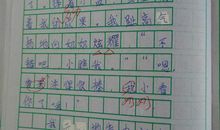 描写杏花的作文