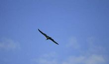 流水光阴，飞翔年华