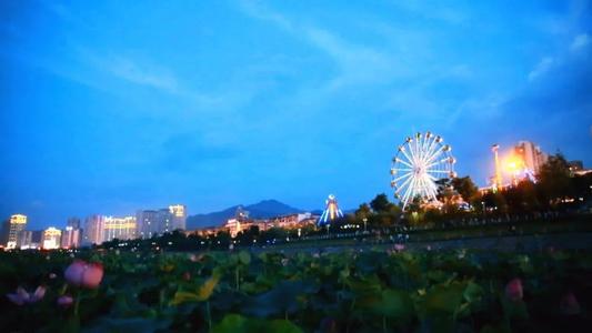 快乐的夏天