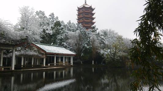 夏季论文