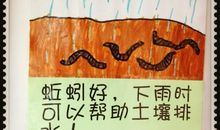 蚯蚓给我的启示