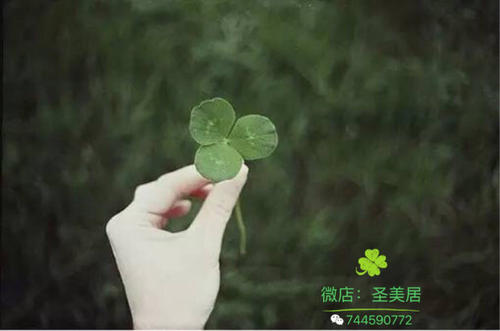 微笑的草