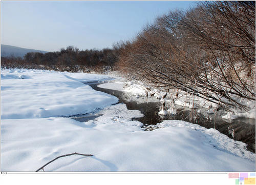 故乡的冬雪