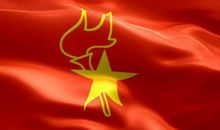 记一次少先队入队仪式