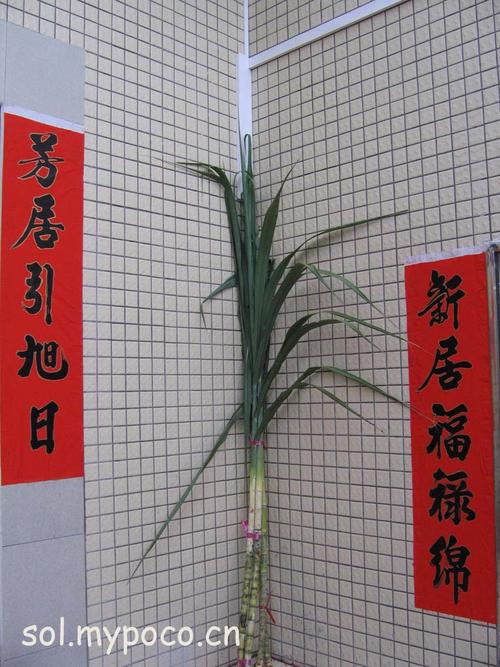 久违的鞭炮