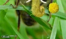 我想我是一只鸟