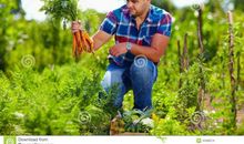 菜园里的联欢会