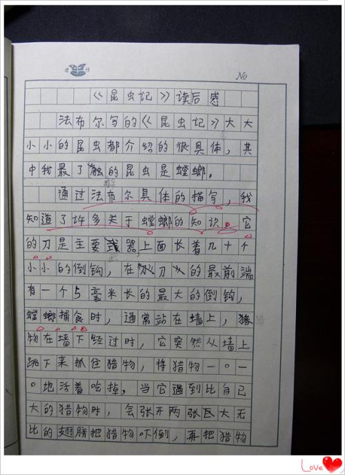 我们回家之后
