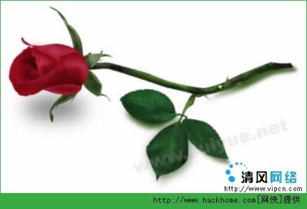 罗斯的叙述