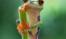 《我们诞生在中国》观后感