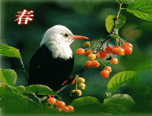 担心
