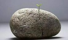 成就更好的自己