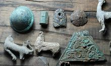 一次有趣的采集标本活动