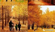 最好的时光遇上了最好的您