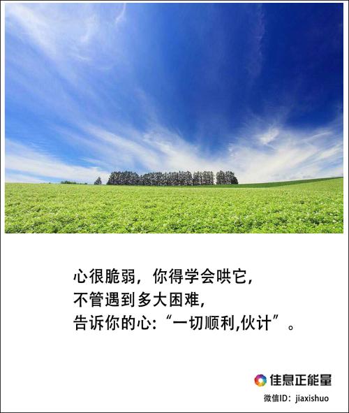 在这里奋斗