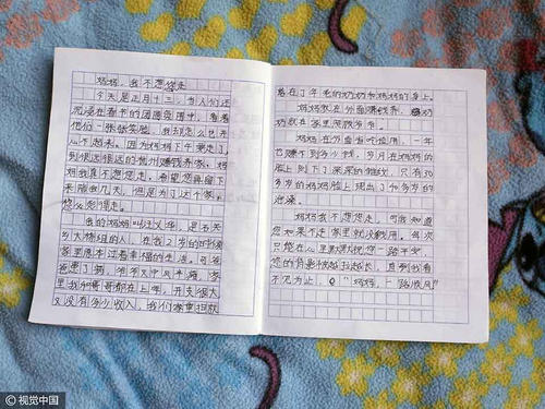 关于留守儿童的组成