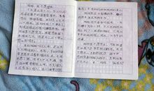 关于留守儿童的作文