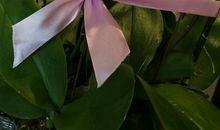 用双手创作幸福