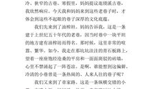 关于老巷的作文