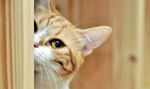 经典让我更快乐