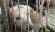 再说一声对不起